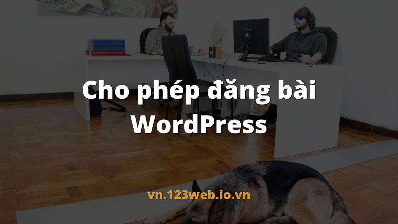 Cho phép đăng bài WordPress
