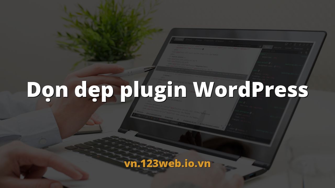 Dọn dẹp plugin WordPress