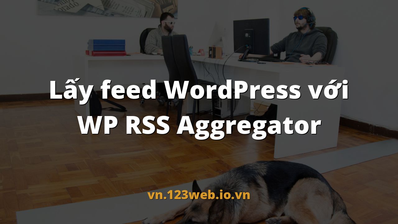 Lấy feed WordPress với WP RSS Aggregator