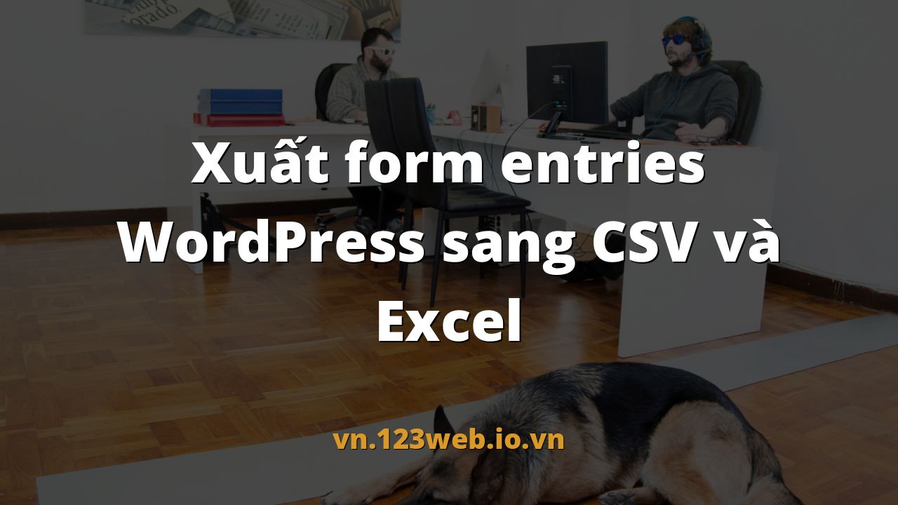 Xuất form entries WordPress sang CSV và Excel