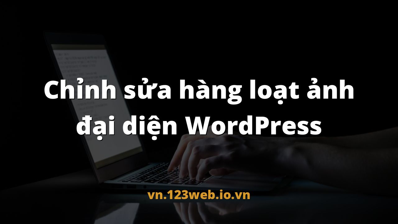 Chỉnh sửa hàng loạt ảnh đại diện WordPress