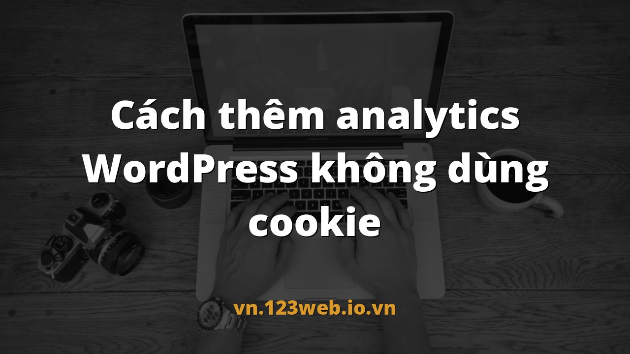 Cách thêm analytics WordPress không dùng cookie