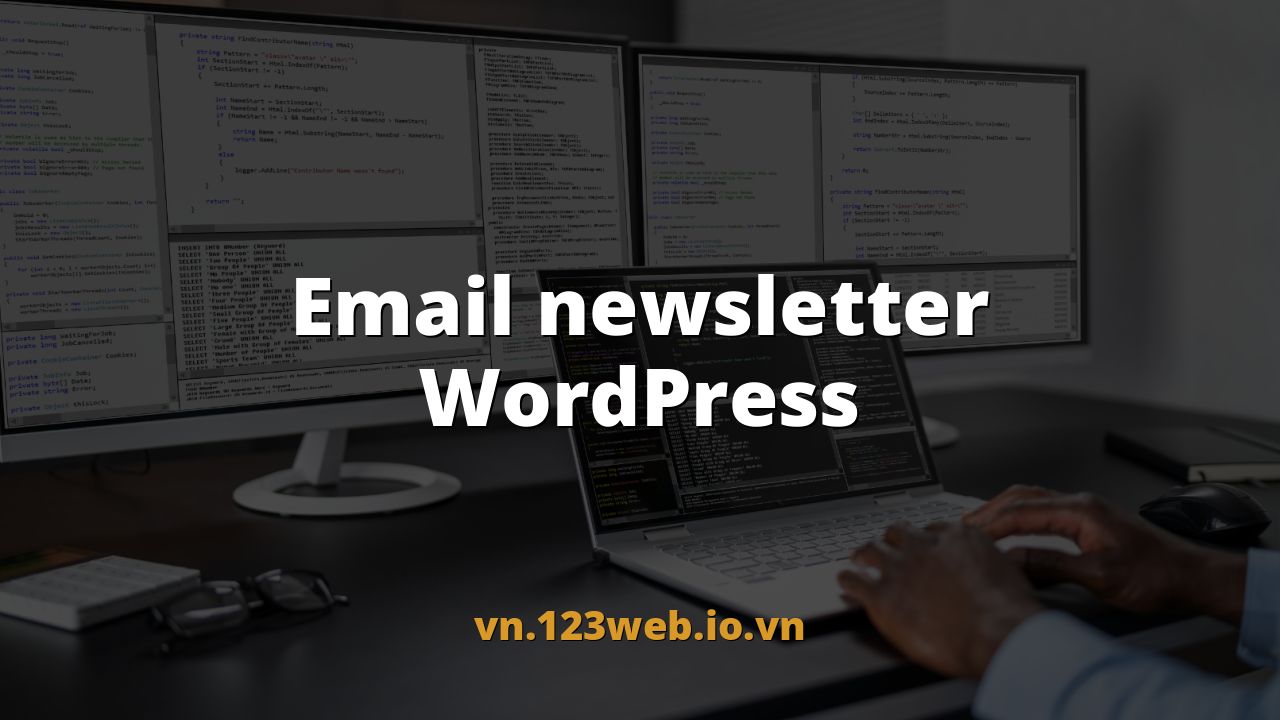 Email newsletter WordPress