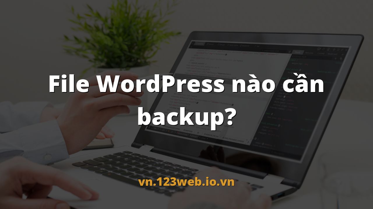 File WordPress nào cần backup?