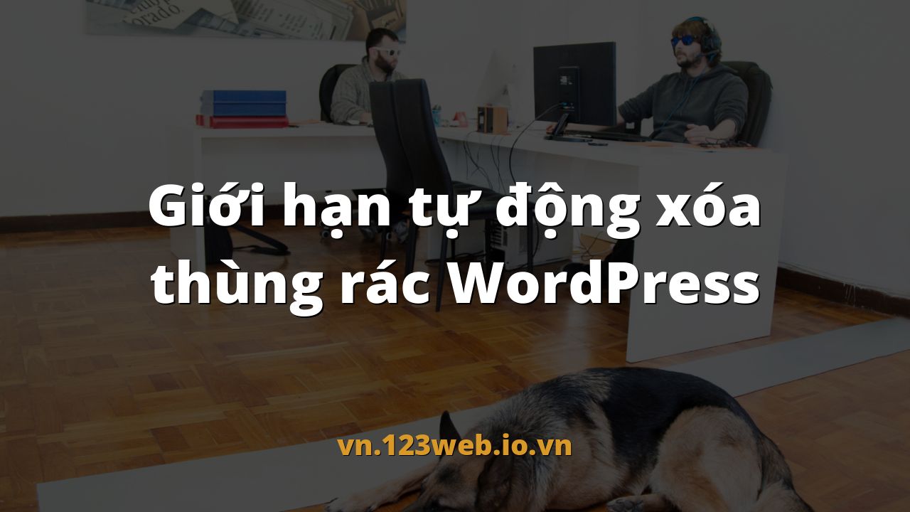 Giới hạn tự động xóa thùng rác WordPress