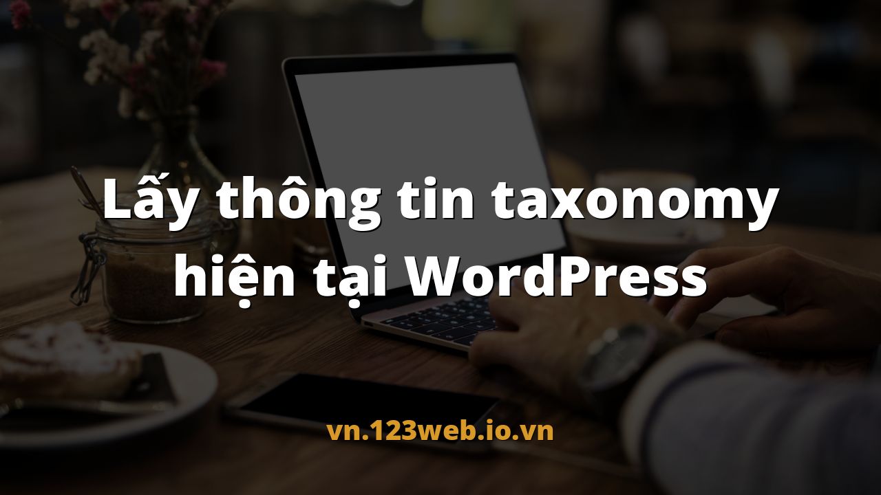 Lấy thông tin taxonomy hiện tại WordPress