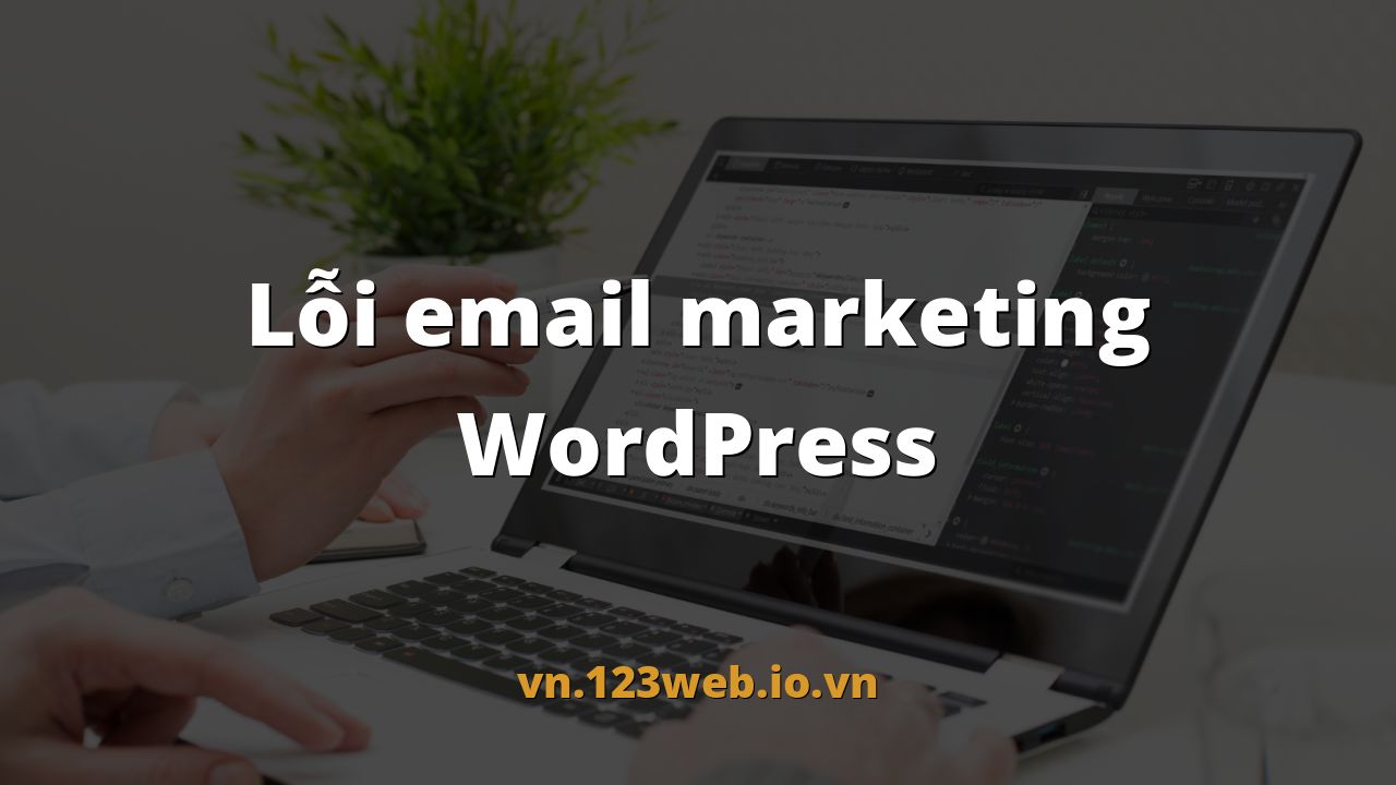 Lỗi email marketing WordPress