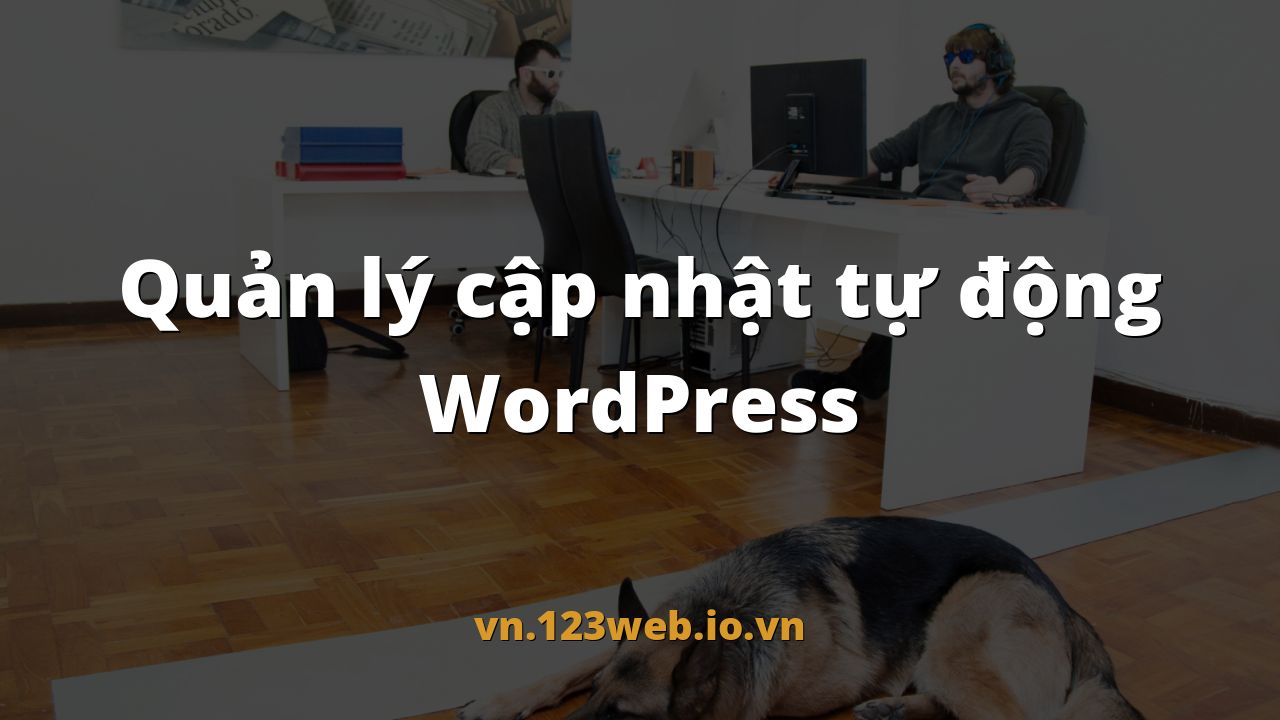 Quản lý cập nhật tự động WordPress