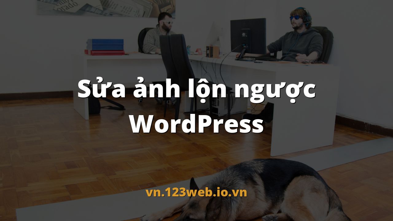 Sửa ảnh lộn ngược WordPress