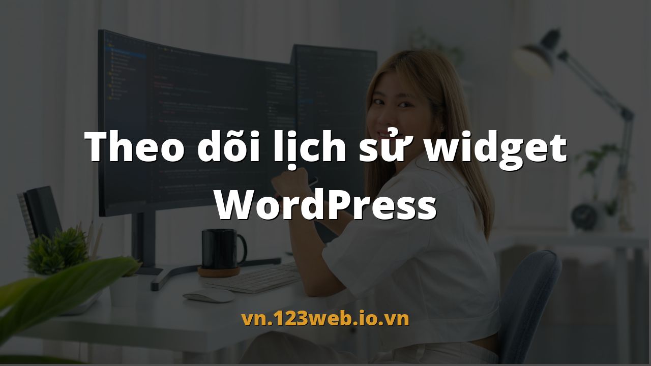 Theo dõi lịch sử widget WordPress