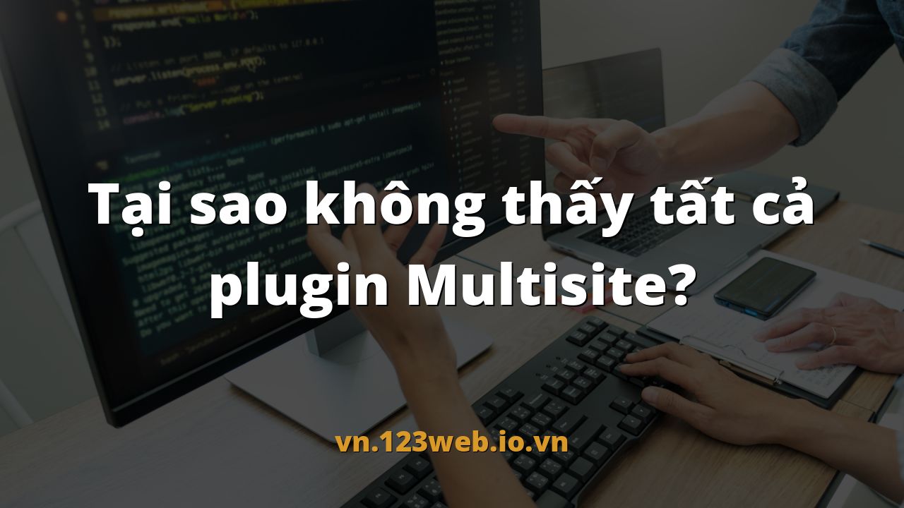 Tại sao không thấy tất cả plugin Multisite?
