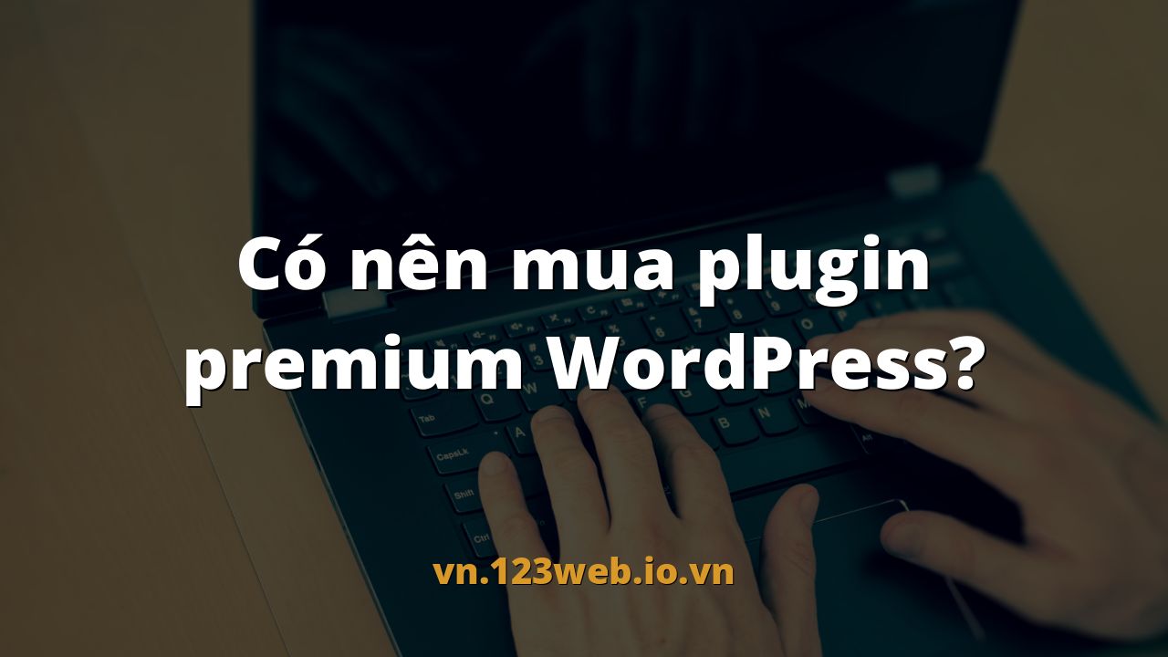 Có nên mua plugin premium WordPress?