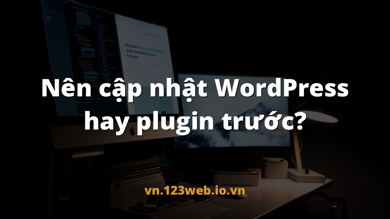 Nên cập nhật WordPress hay plugin trước?