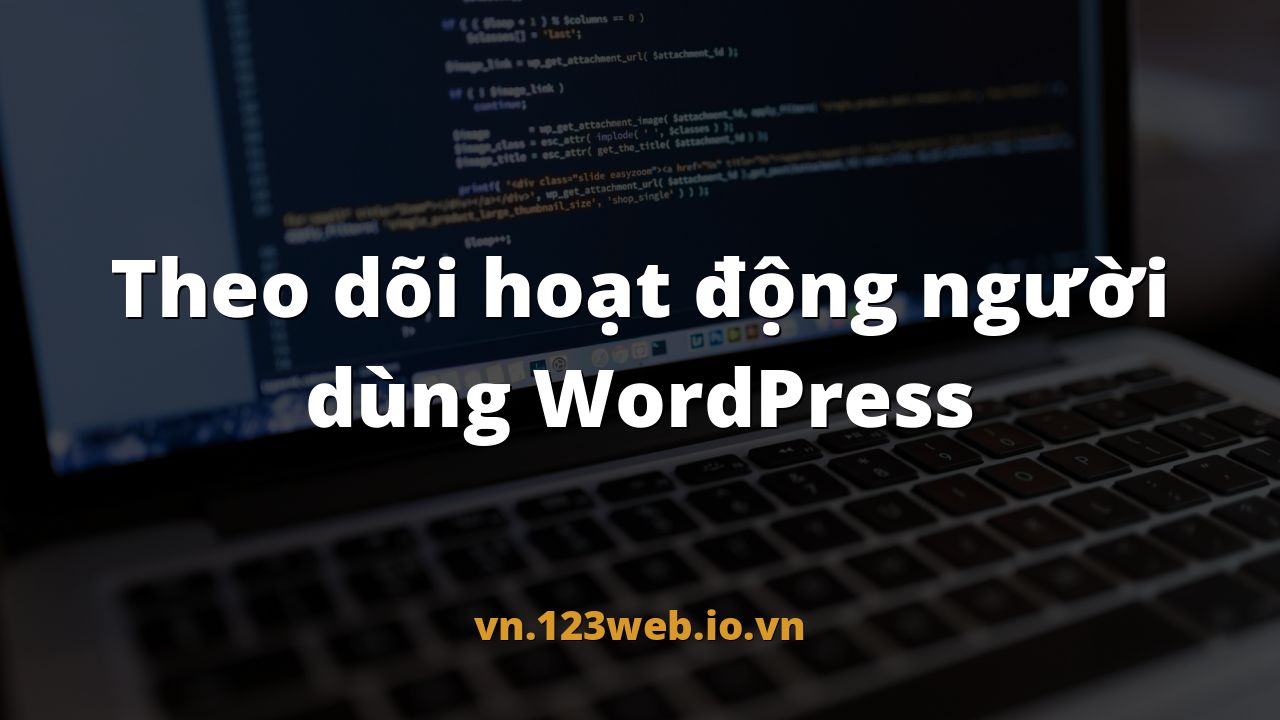 Theo dõi hoạt động người dùng WordPress