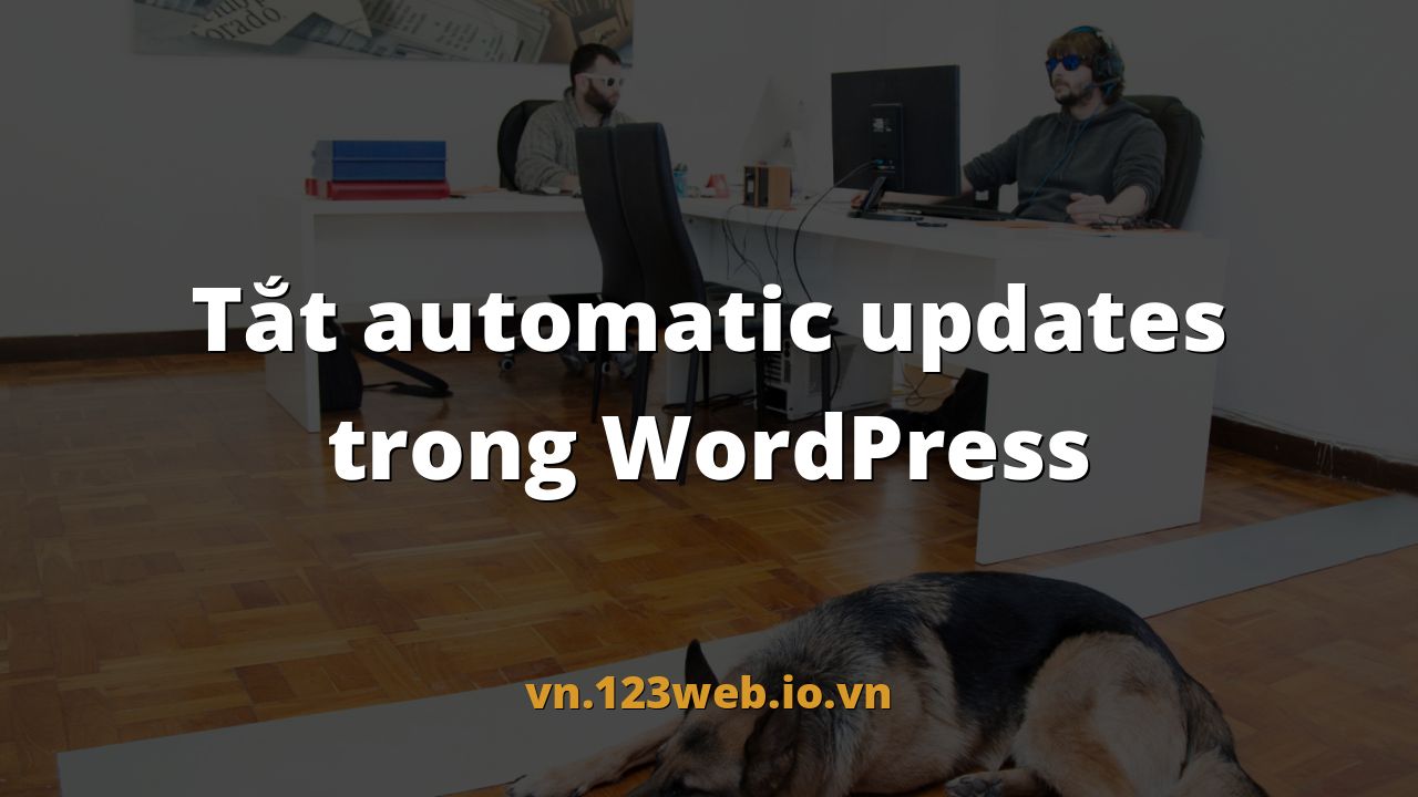 Tắt automatic updates trong WordPress