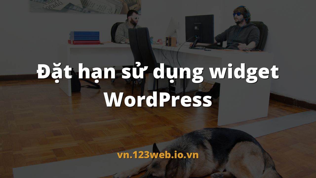 Đặt hạn sử dụng widget WordPress